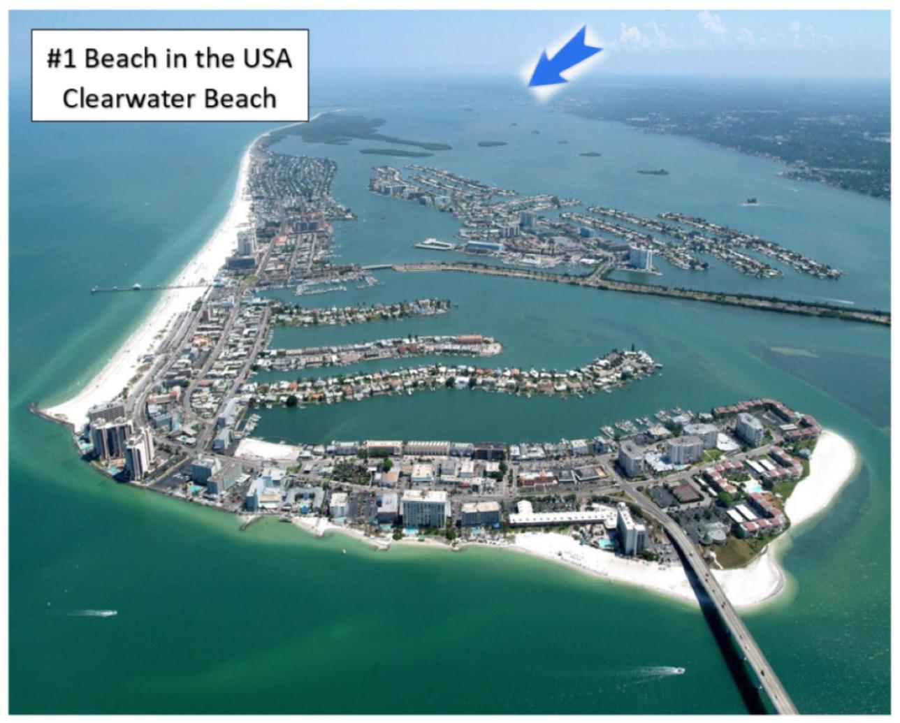 Beaches, Parks, Downtown, Trail, Breweries, Bikes, Gameroom Palm Harbor Exterior foto